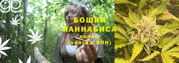 хмурый Сясьстрой