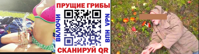 Галлюциногенные грибы ЛСД закладка Хвалынск